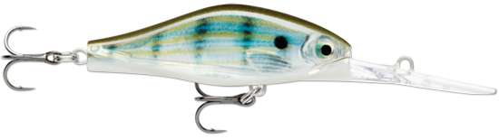 (PF) Pinfish